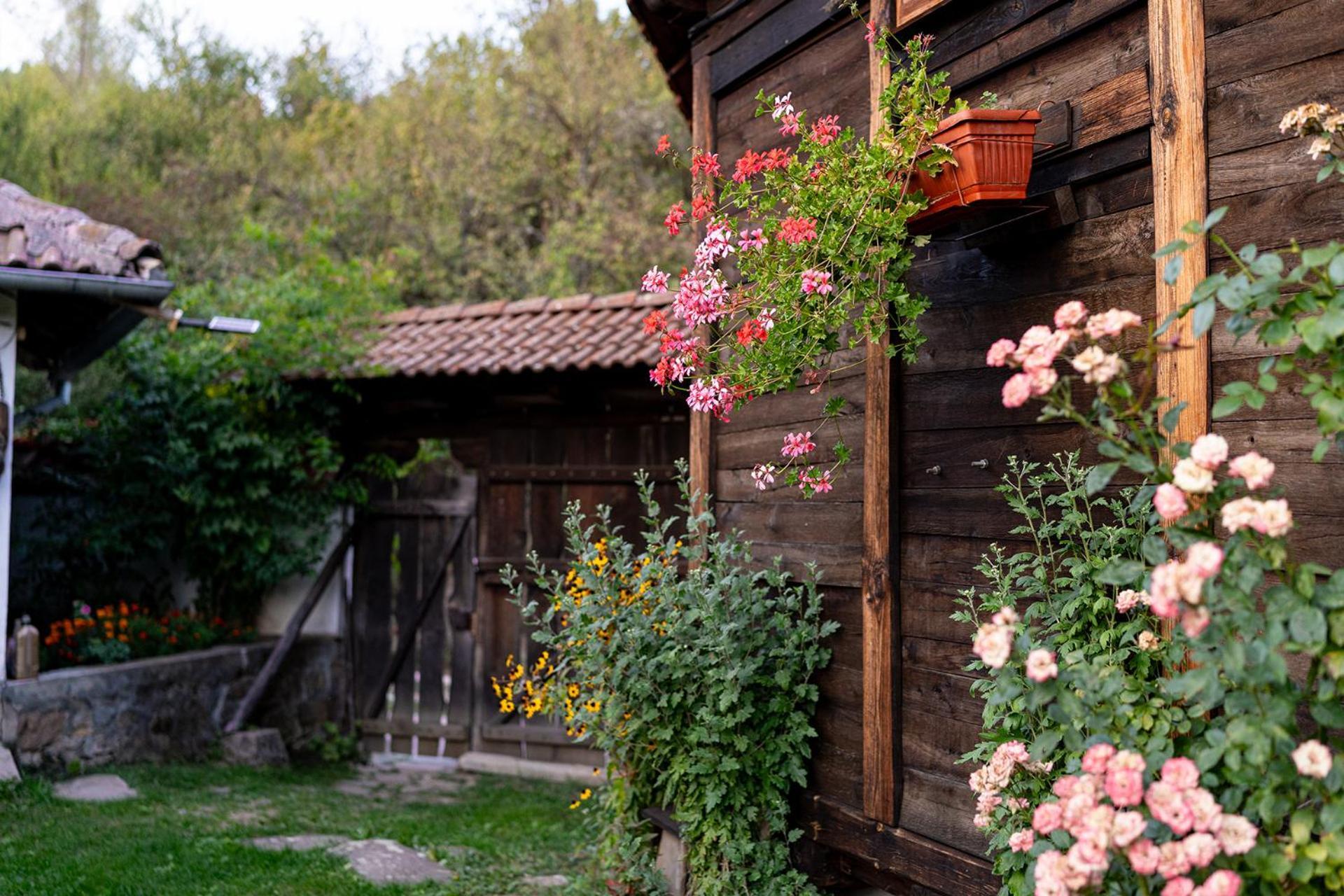 Kandaphery Guest Houses Miykovtsi Luaran gambar