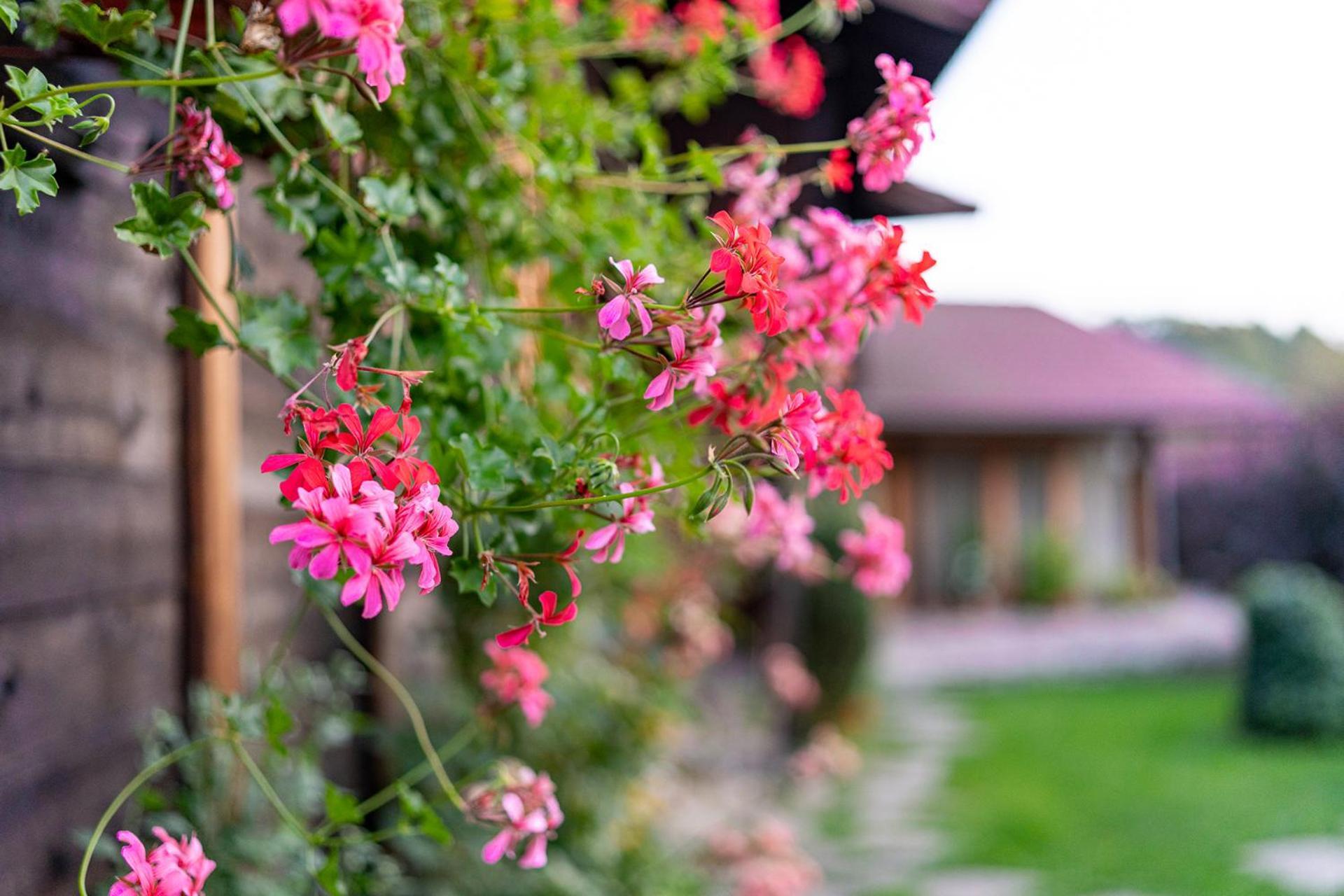 Kandaphery Guest Houses Miykovtsi Luaran gambar