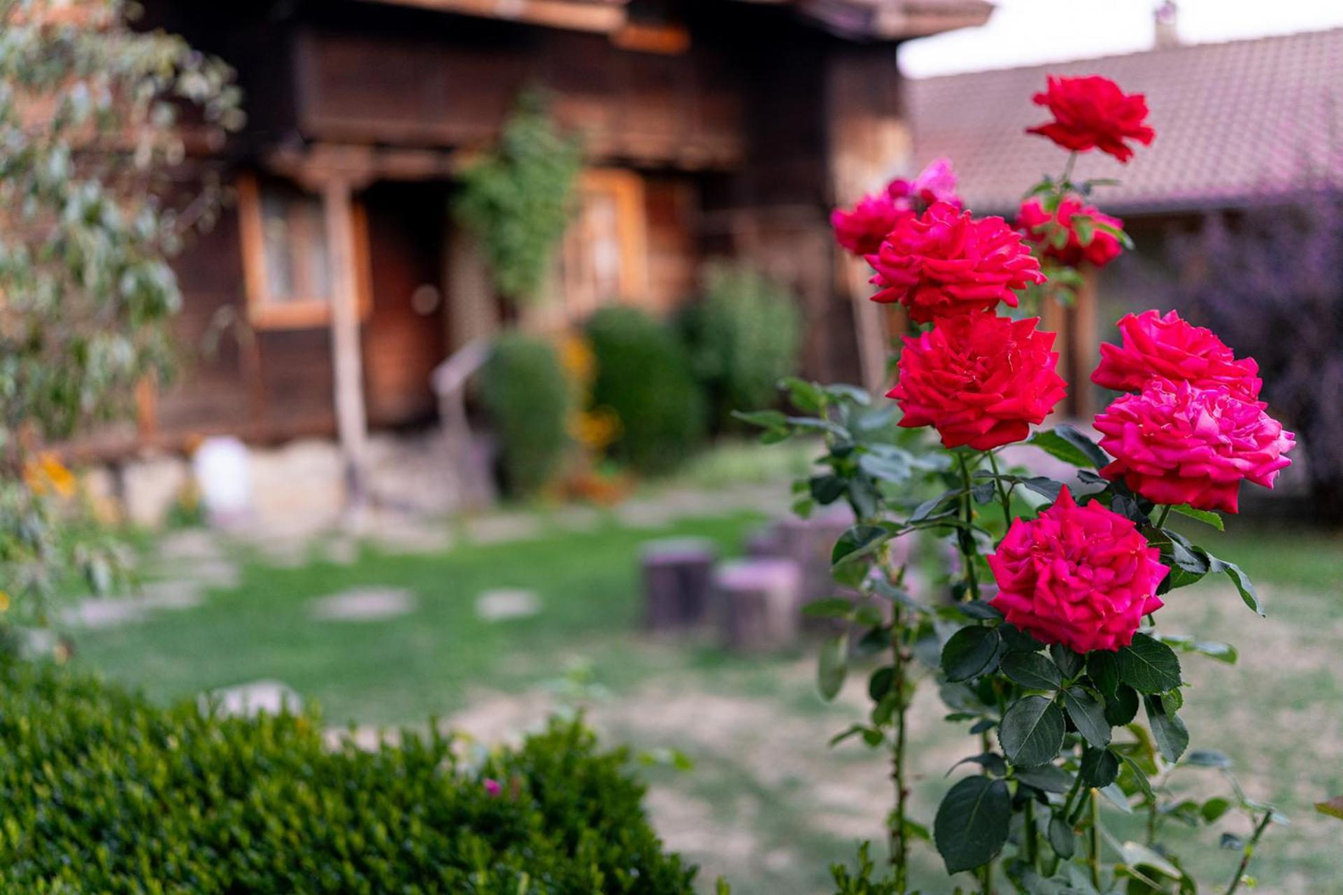 Kandaphery Guest Houses Miykovtsi Luaran gambar